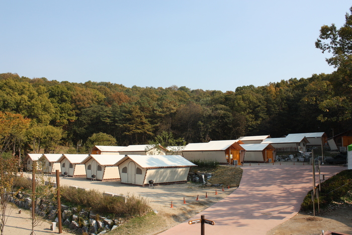 경기도 군포시 초막골생태공원 느티나무야영장 소개