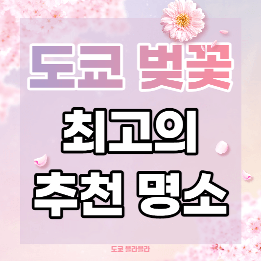 도쿄벚꽃명소