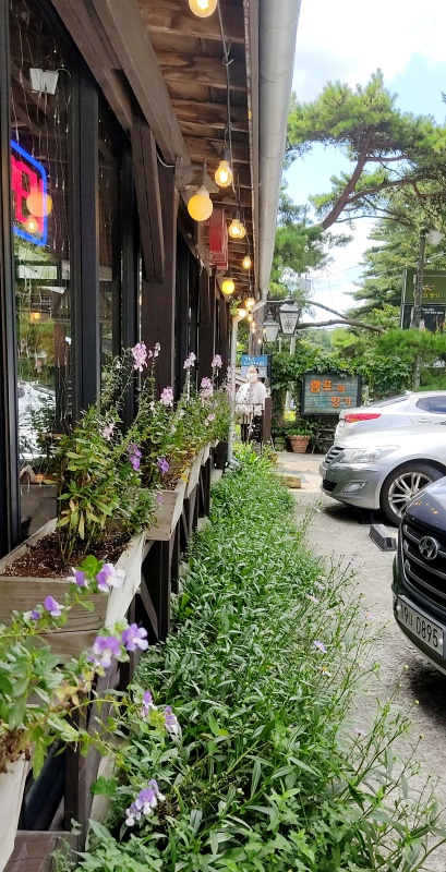 오래된건물과 들꽃 주차장에 가득한 차들