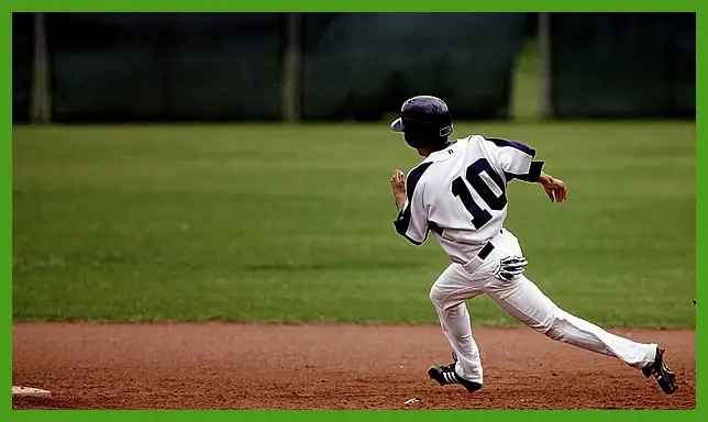 프리미어12 일정