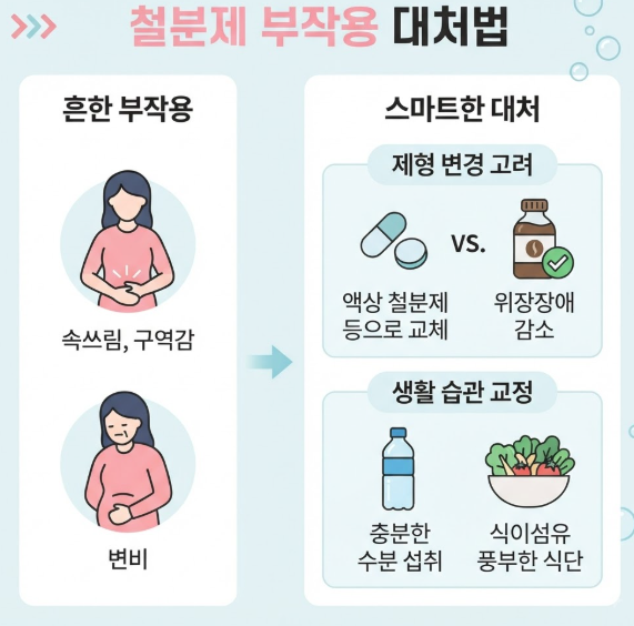 임산부철분제복용시기