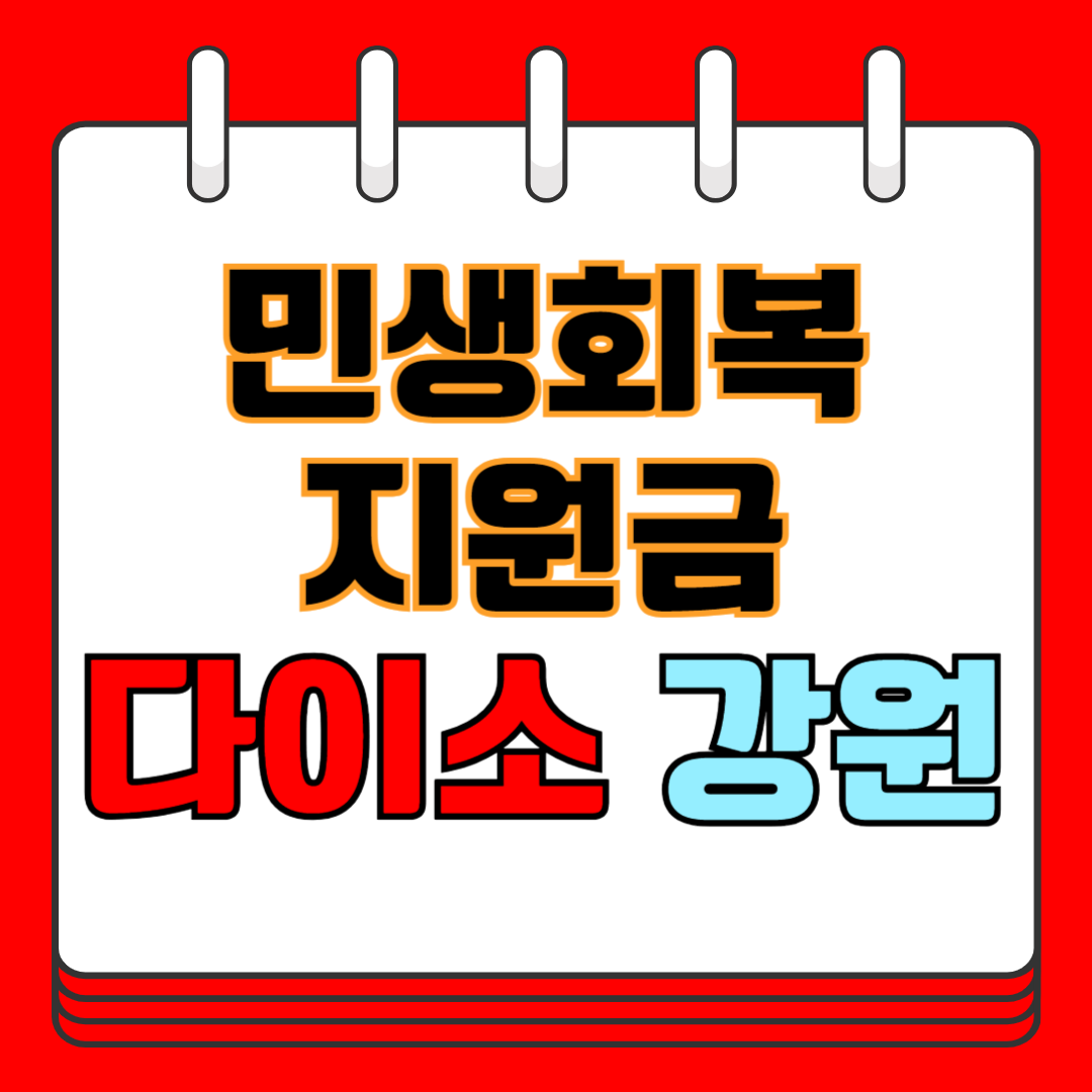 민생회복 지원금 다이소