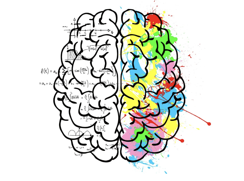 창의력은 어디에서 오는가? — 예술성과 뇌의 숨은 연결 고리