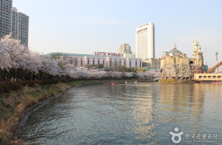 석촌 호수벚꽃축제