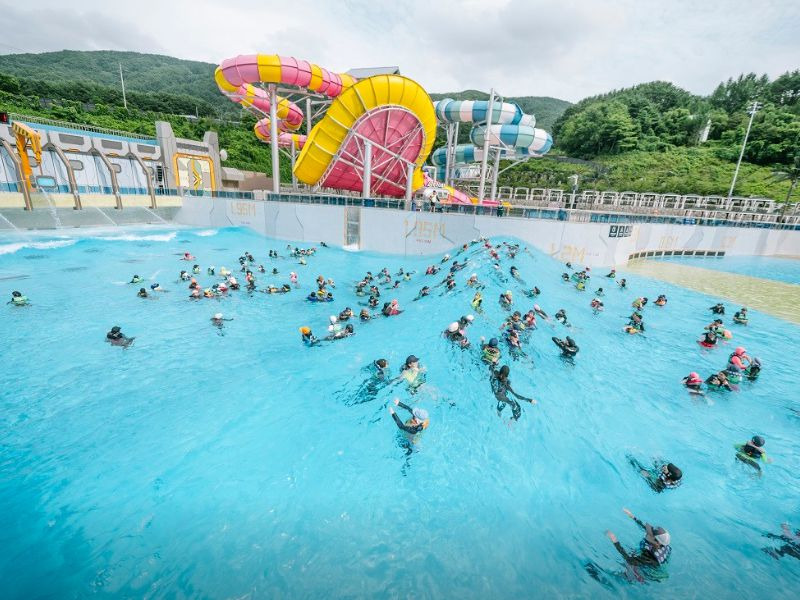 웰리힐리파크 워터플래닛