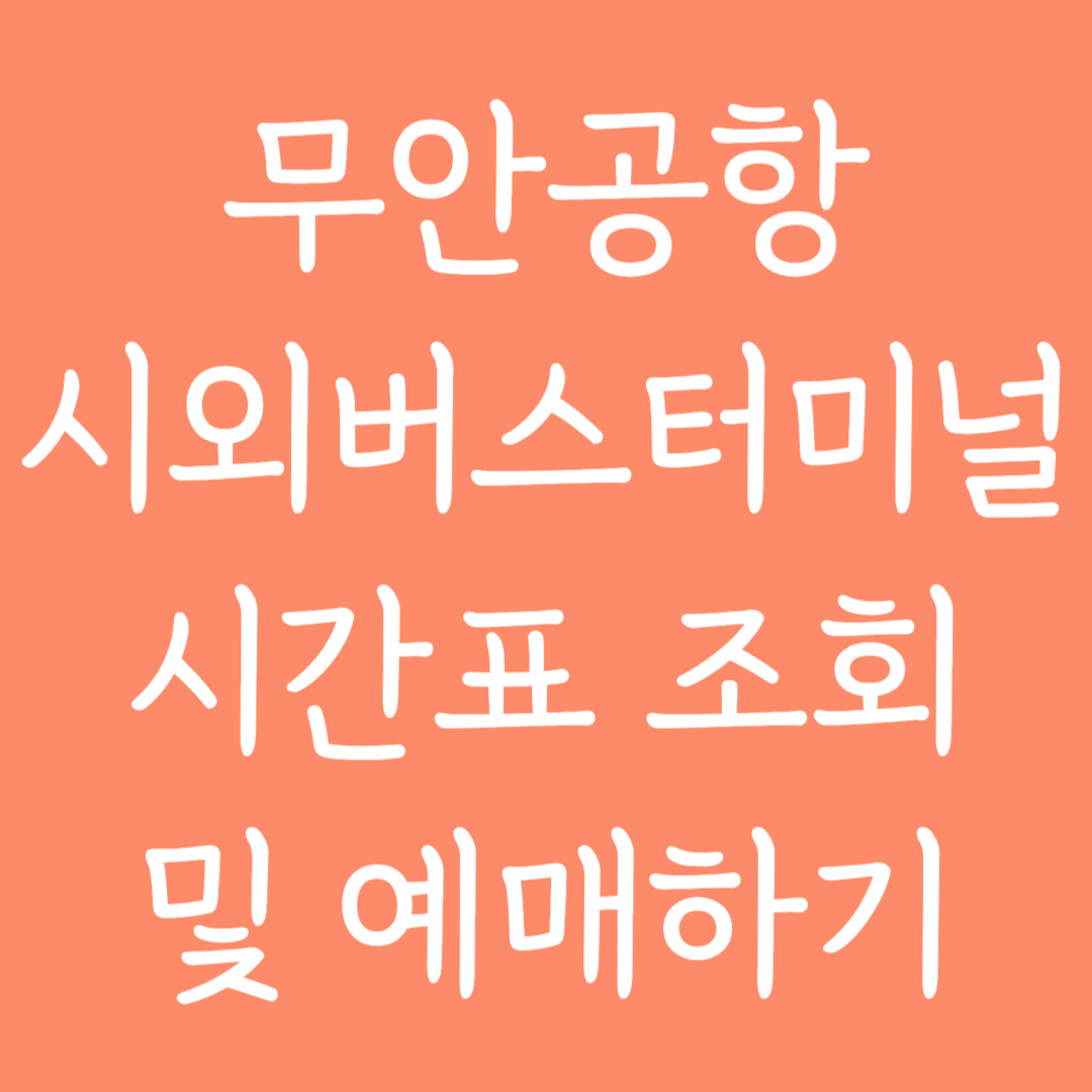 무안공항 시외버스터미널 시간표 조회 및 예매하기