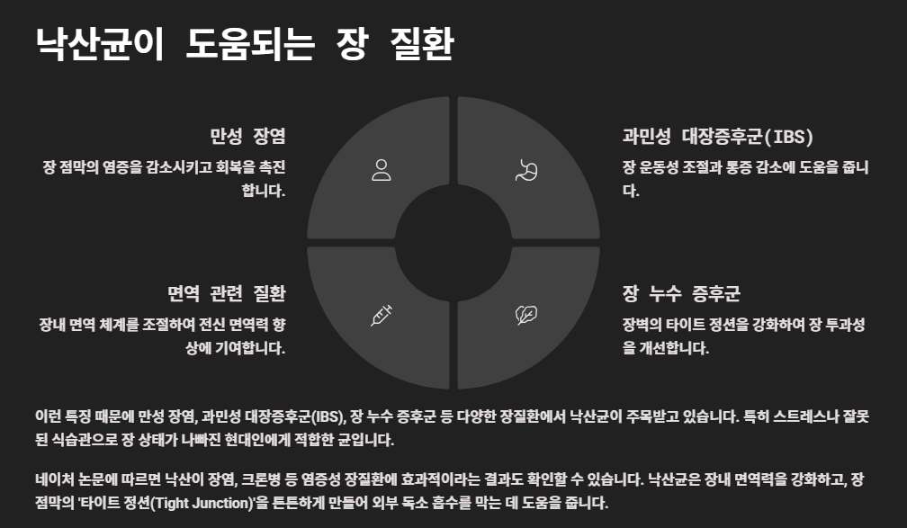 낙산균 효능부터 프로바이오틱스, 포스트바이오틱스까지 총정리 (장 건강 필수 가이드)