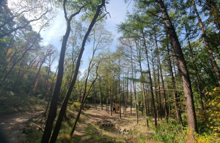 고대산자연휴양림