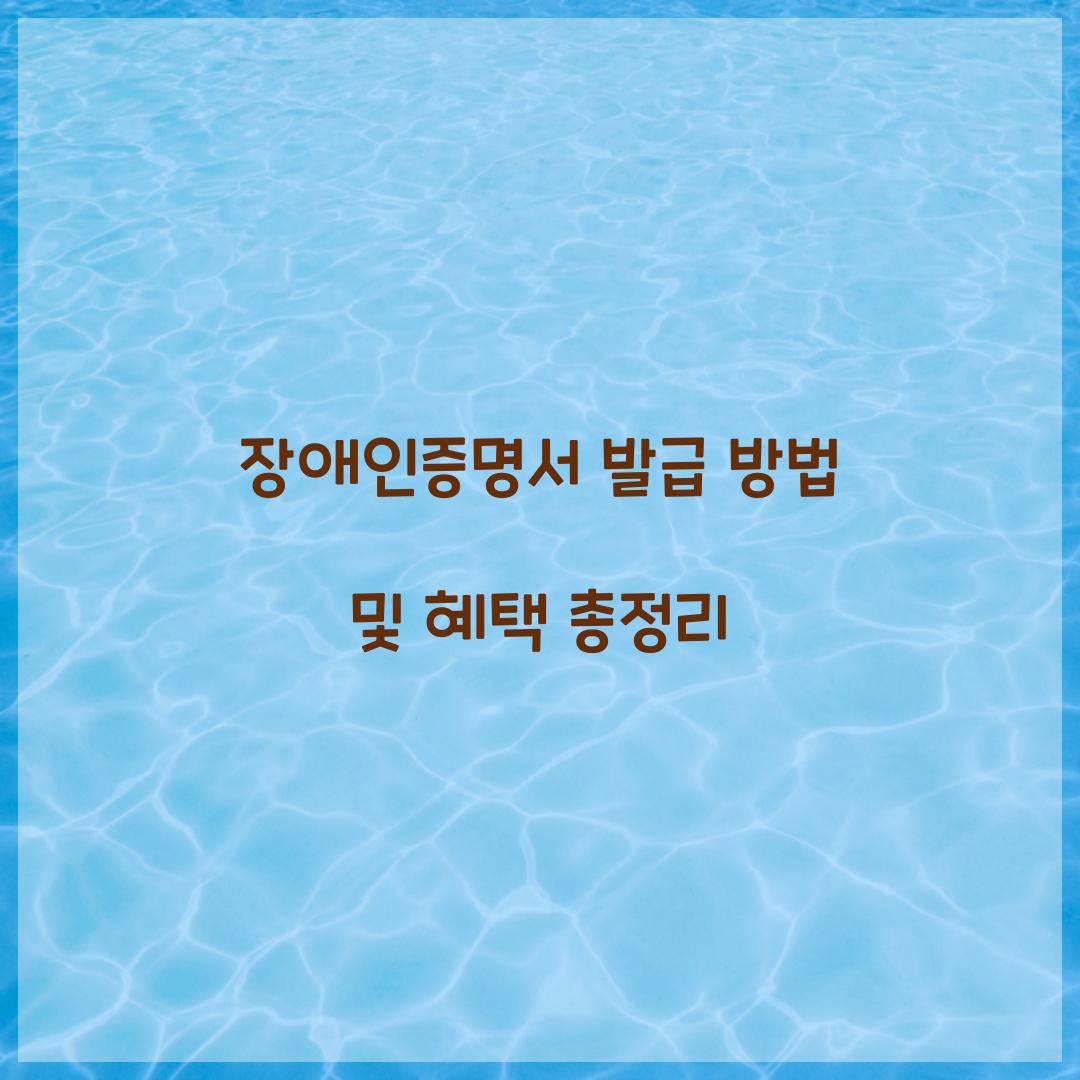 장애인증명서 발급