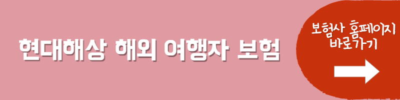 여행자보험 천재지변