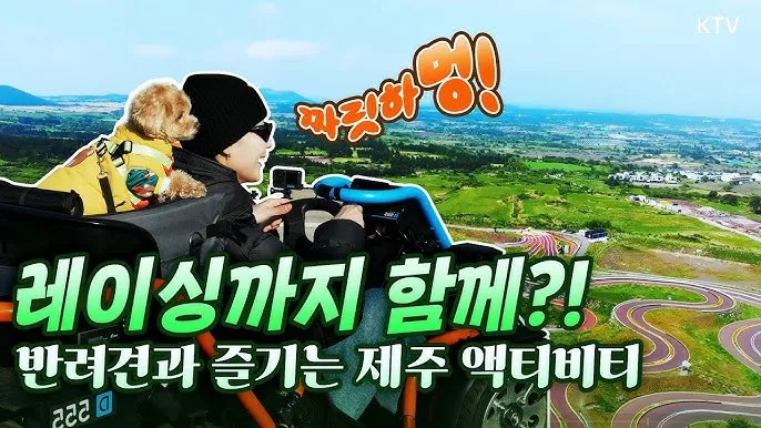 제주 반려견과 함께 가기 좋은 펫프렌들리 숙소 리스트_3