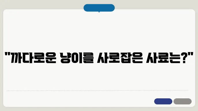 고양이 사료 비교, 까다로운 냥이도 반한 선택은?