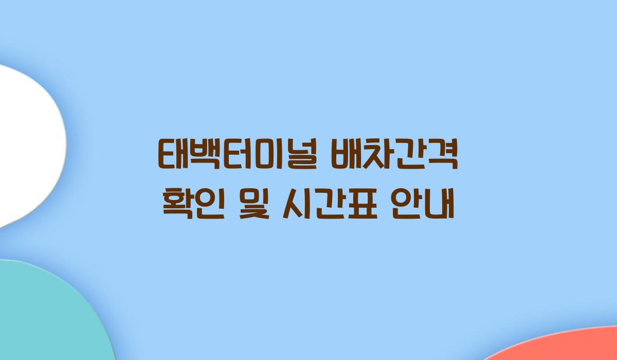 태백터미널 배차간격 확인