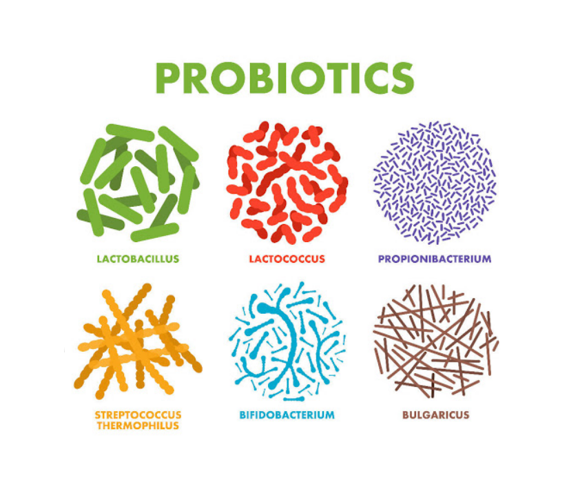 캡슐-형태의-다이어트-모유-유산균-BNR17-성분을-홍보하는-배우-김희선