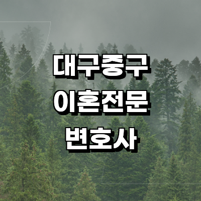 대구 중구 이혼 변호사