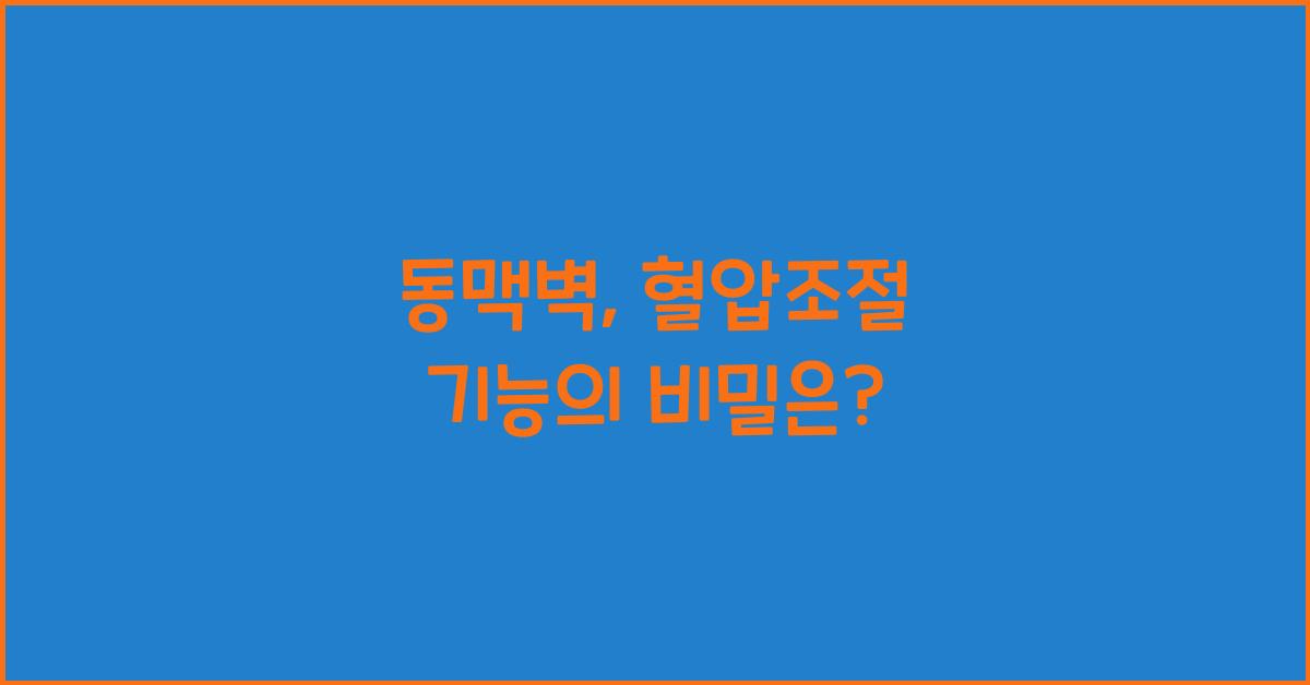 동맥벽, 혈압조절 기능