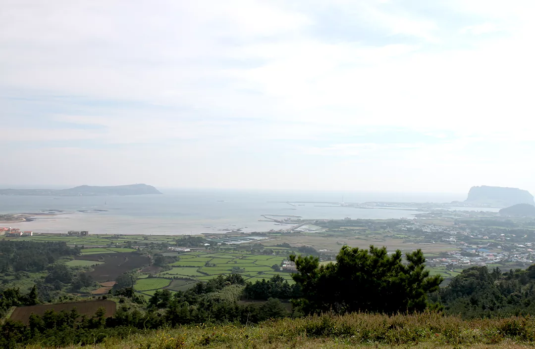 제주 올레길 1코스 알오름에게 바라본 성산일출봉과 우도 풍경 사진.