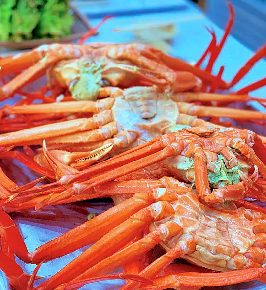 6시내고향 경북 포항 홍게 파는 곳 전국 택배 온라인 전화 주문 추천