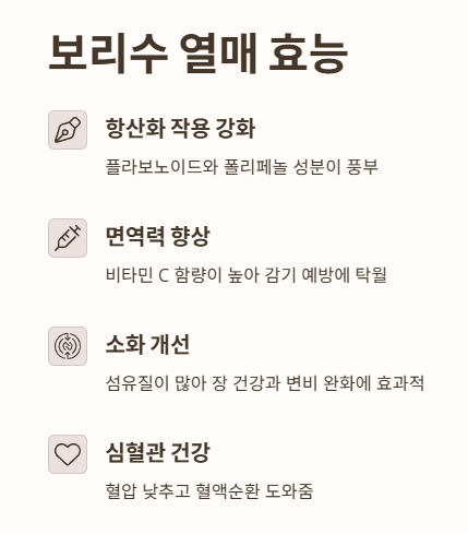 보리수 열매 효능