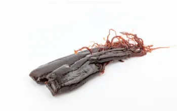 인삼 효능 및 가격, 영양 성분의 효과