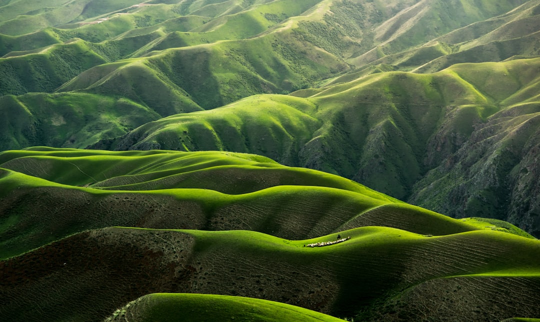 Earth