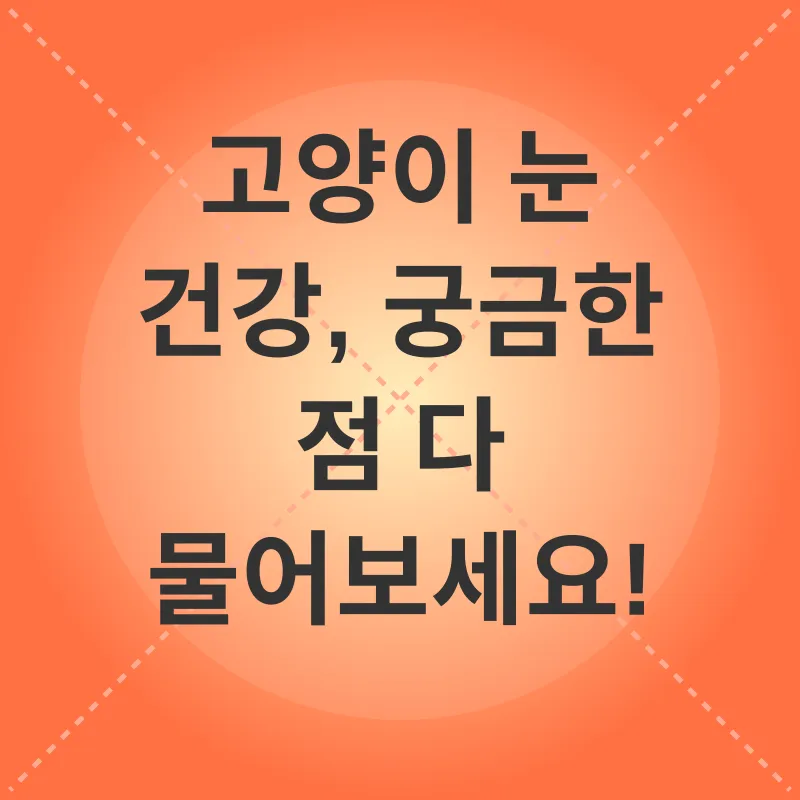 고양이 눈 건강_4