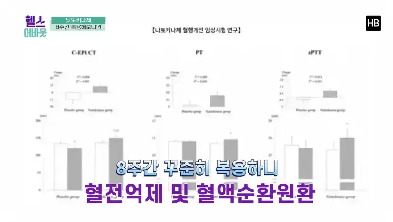 혈전용해제 나토키나제