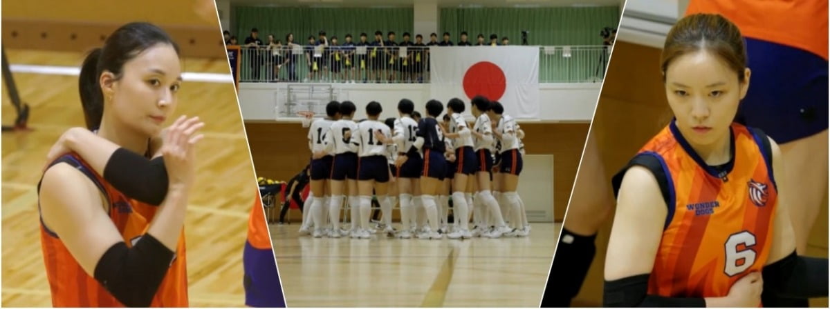 초보감독 김연경 원더독스 한일전 슈지츠 고등학교 배구팀 강점 역사 이력