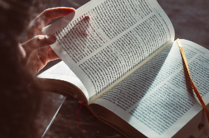 종이책 vs 전자책 vs 오디오북