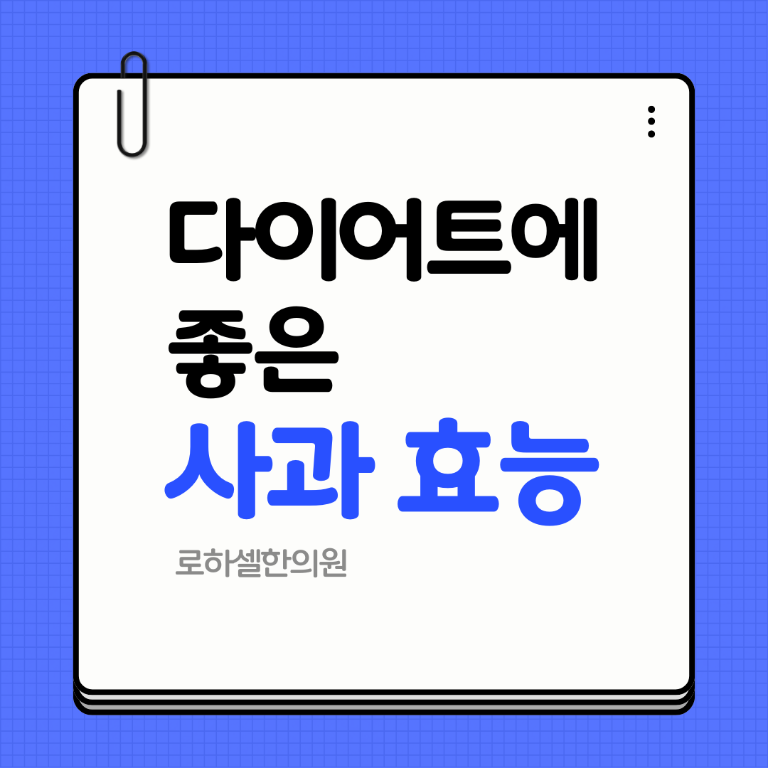다이어트에 좋은 사과 효능