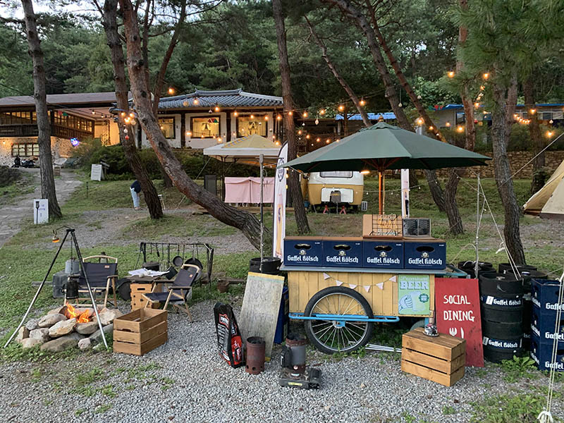 춘천 황금박쥐캠핑장 소개