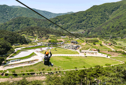 구절초지방정원 짚와이어