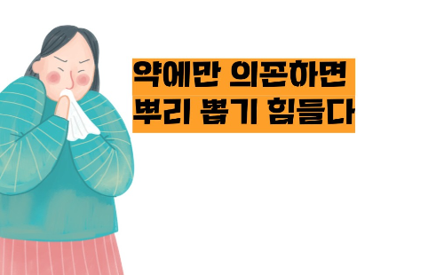 비염 뿌리를 뽑으려면