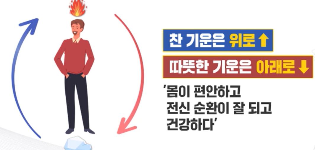 침향환 효능