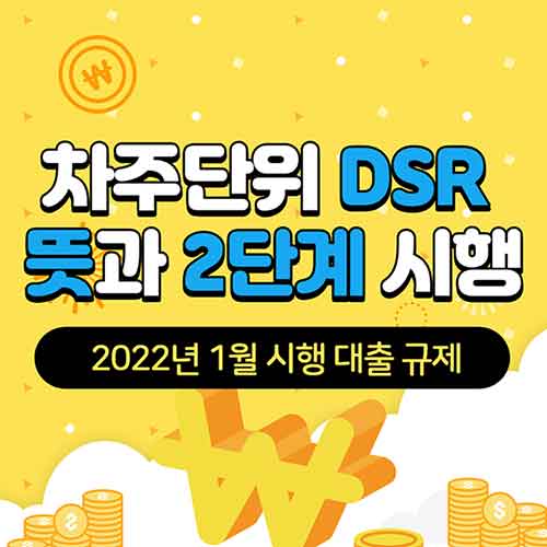 차주단위-DSR