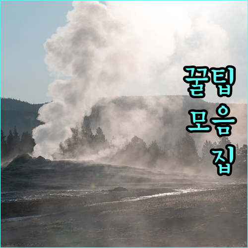 요양병원 선택 전 필수 확인! 합리적