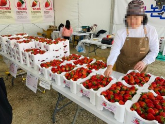 논산 딸기축제 체험농장