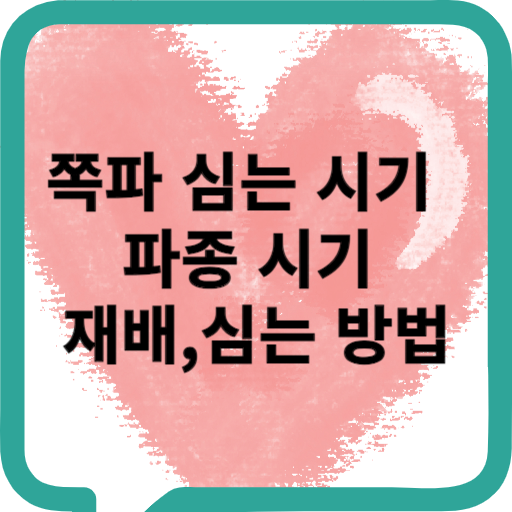 쪽파 심는 시기 파종 시기 쪽파 재배 심는 방법