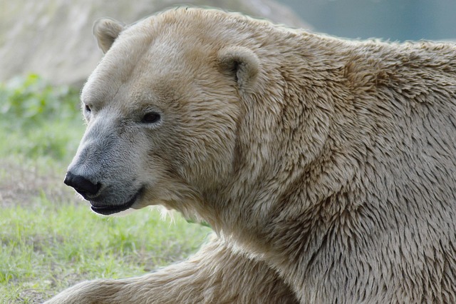 독감예방접종 무료대상날짜