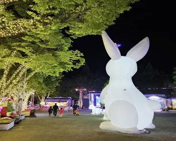 청도 프로방스 빛축제_24