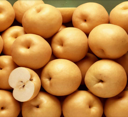 비염에 좋은 음식