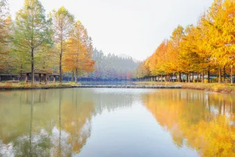 담양 맛집 베스트10 진짜 현지인만 아는곳_15