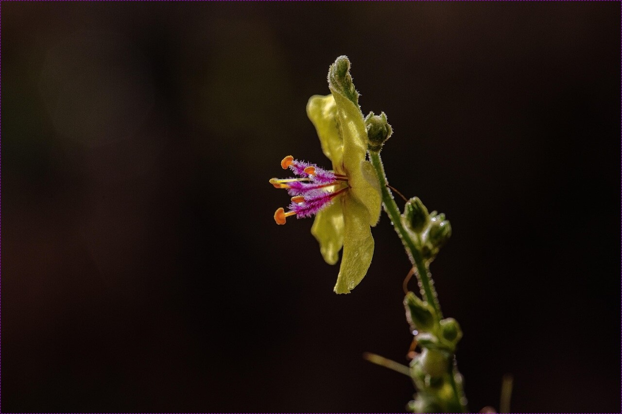 편의점 창업비용