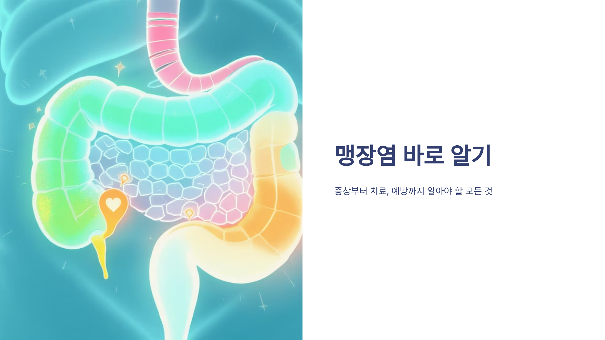 맹장염 초기 증상과 응급 대처법