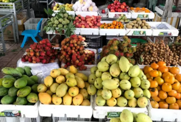 씀모이-시장-과일-망고