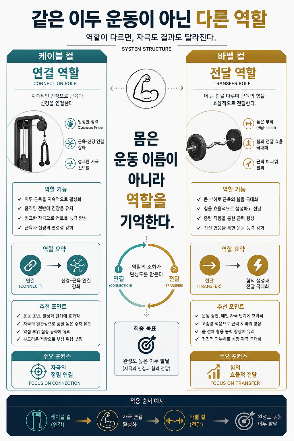 같은 이두 운동이 아닌 다른 역할