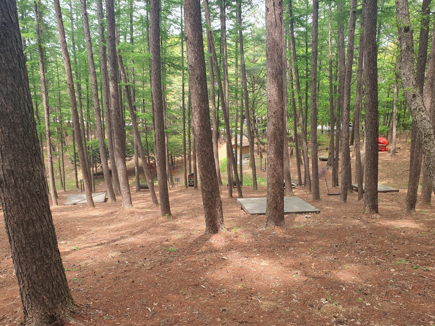 봉래산산림욕장