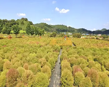 임진강 댑싸리공원_11