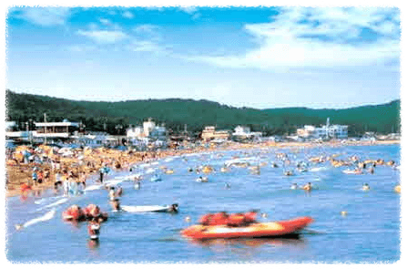 2024 부산 해수욕장 개장일 [추천]