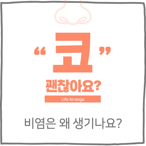 비염은 왜 생기나요?